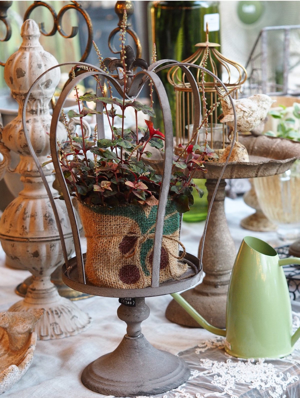クラウン型スタンド | gris garden plants STORE