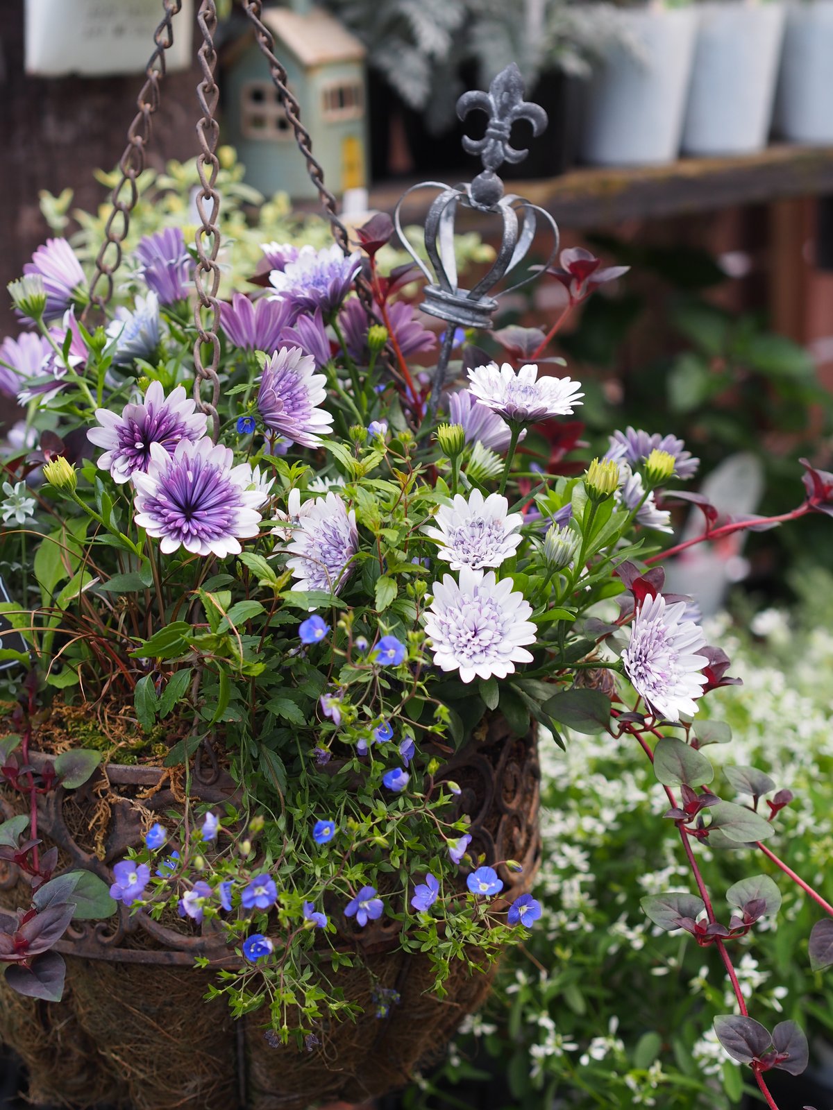 ガーデンピック S 3本set | gris garden plants STORE