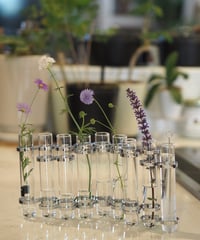 glass tube flower stand