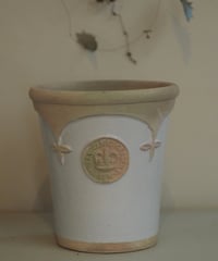 Kew Garden　White