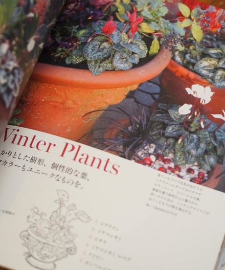 ⚠️併せ買い対象  Container Gardening with Whichford