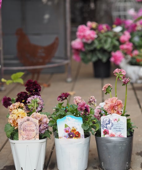 CATEGORY ガーデン雑貨 | gris garden plants STORE