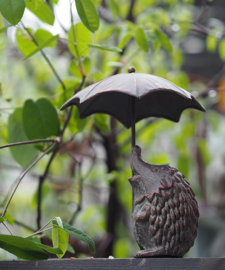 雨の日のうさぎとハリネズミ