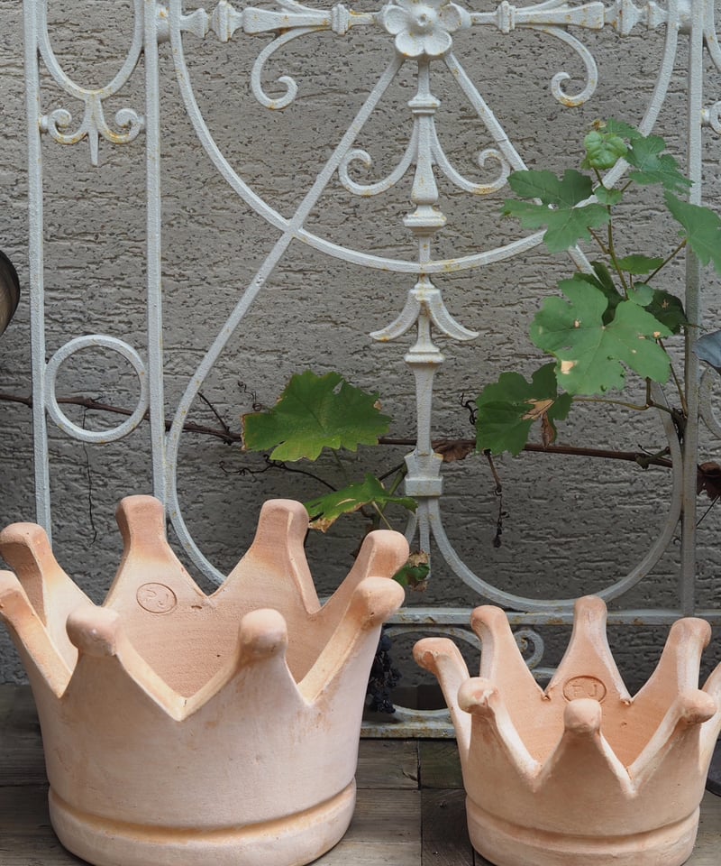 テラコッタ クラウン型ポット set | gris garden plants STORE