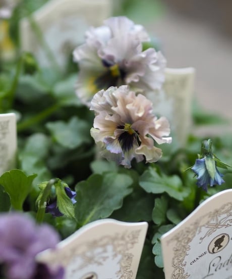 デコパージュ ꔛ‬ꕤ ガーデン雑貨 *テーブル 花台 *アリウム *ルナリア 楽天市場】ガーデンテーブル 半円 ハーフラウンドテーブルホワイト