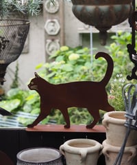 ウォーキング　CAT