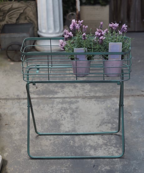 gris garden plants STORE