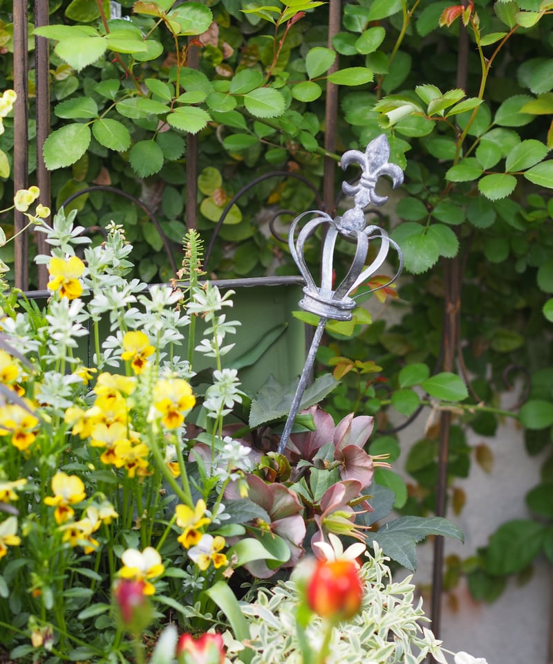 ガーデンピック S 3本set | gris garden plants STORE