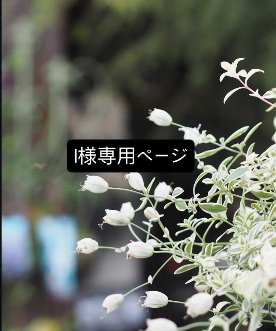 69f67c02df87747d7c83bd3b