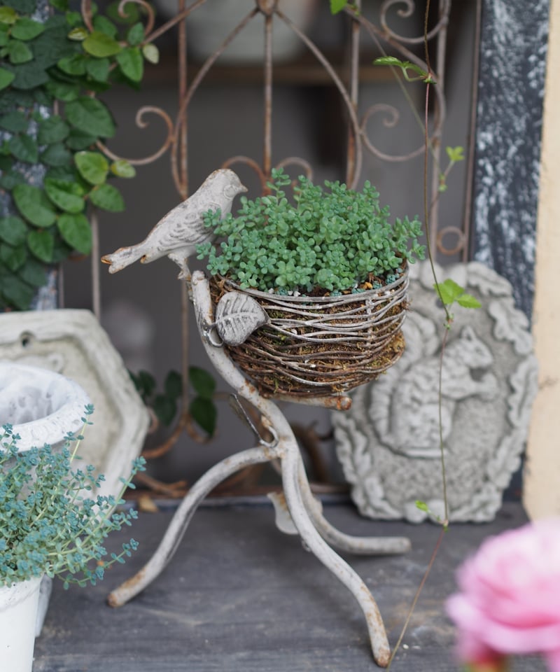 bird nest キャンドルホルダー | gris garden plants STORE