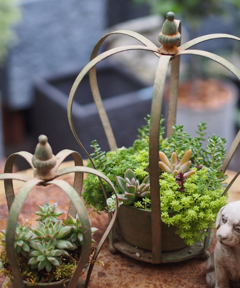 ⭕ジャンクガーデンの演出用 サビサビ 鉄錆物 ブロカント 多肉&セダム