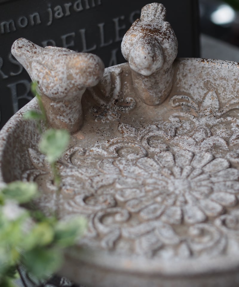 Petite Jardin birdBATH バードバス | gris garden plan