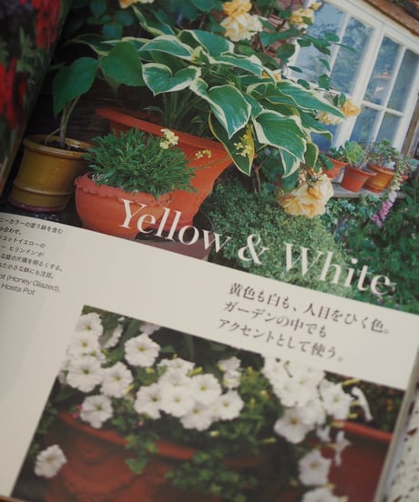 ⚠️併せ買い対象  Container Gardening with Whichford
