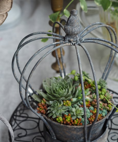 crown flower pot クラウン型ポット