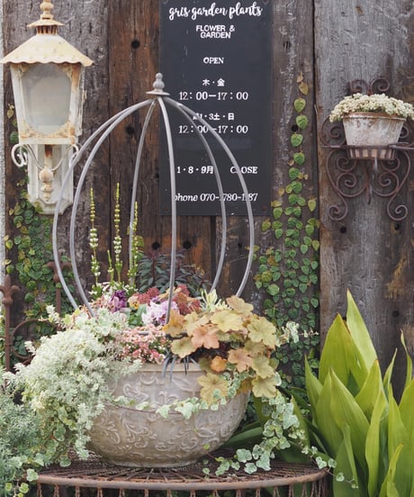 CATEGORY オーナメント | gris garden plants STORE