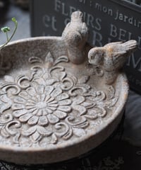 Petite Jardin birdBATH バードバス