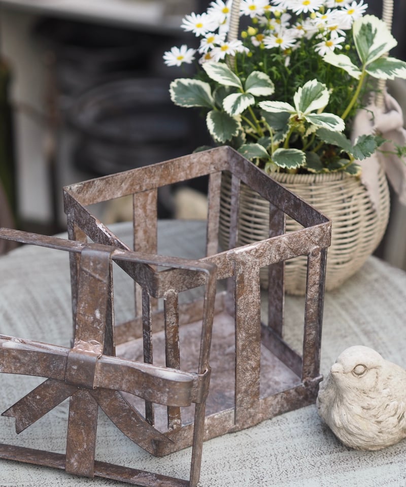 アンティーク風アイアンギフトBOX | gris garden plants STORE