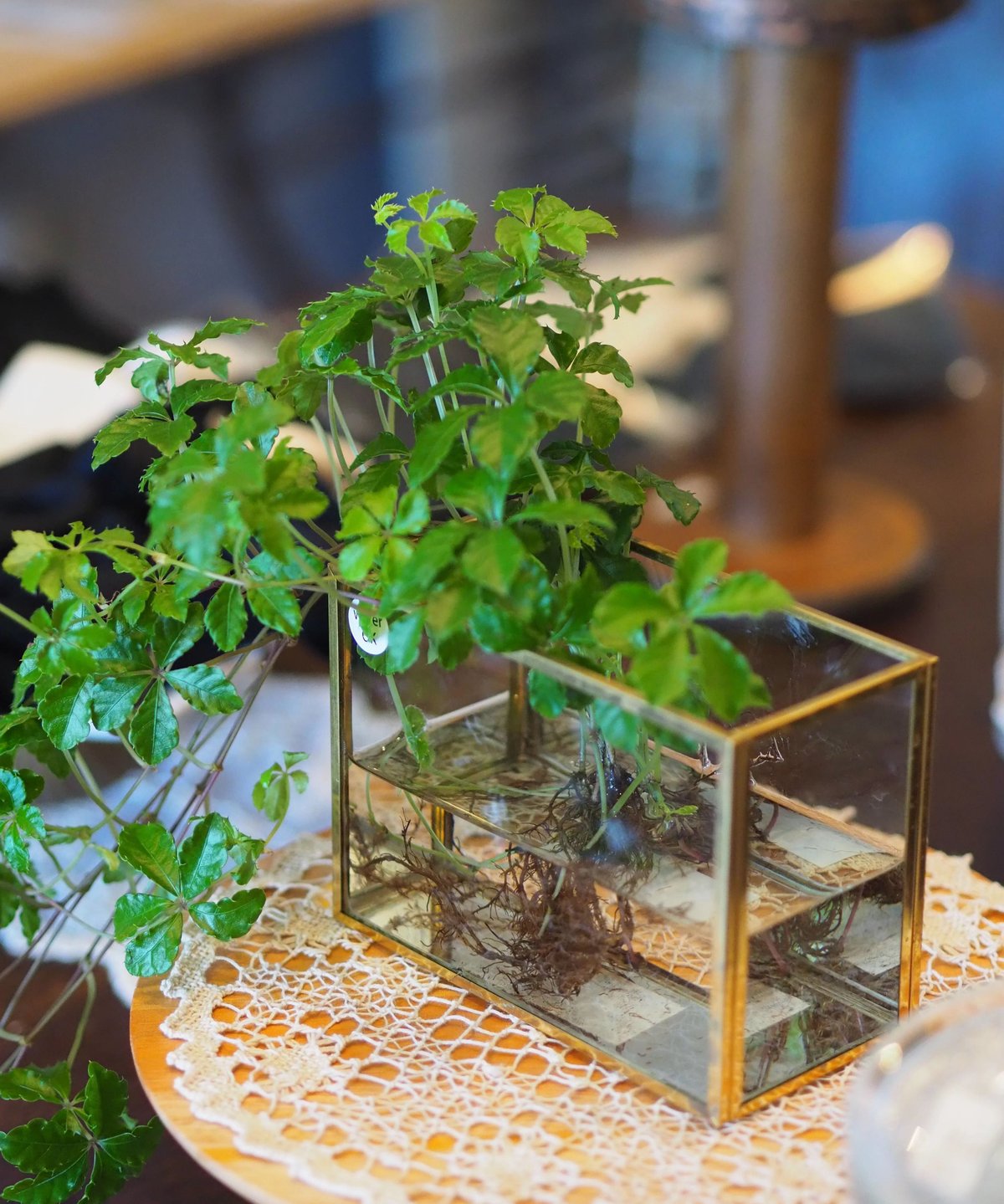 花器　182 flower vase GOLD | gris garden plants STORE