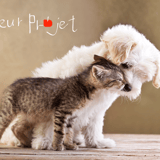 coeurprojet