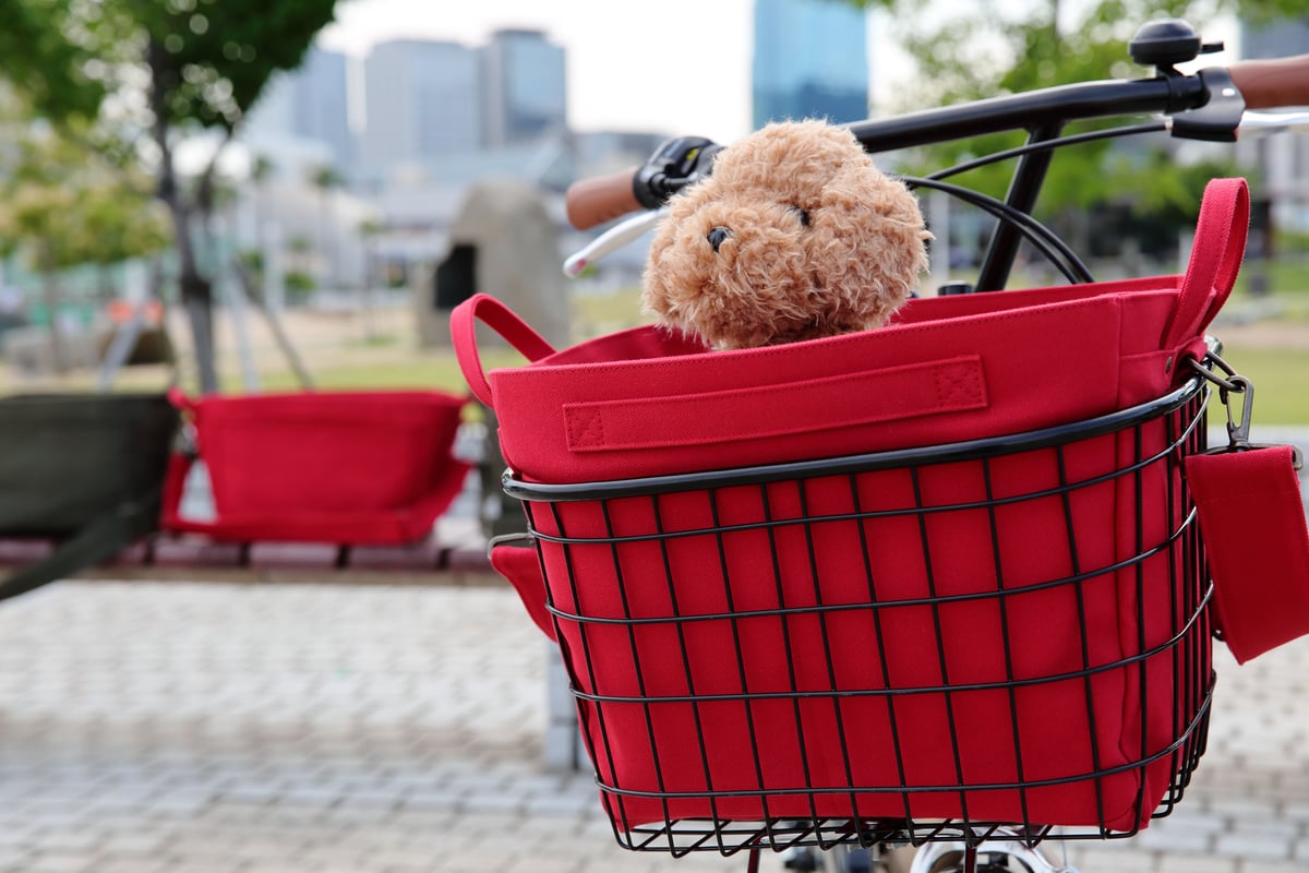 レギュラーバッグ (レッド ) ＋ 楕円パイプワイヤーバスケット