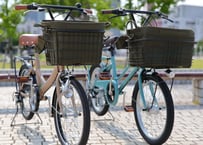 レギュラーバッグ　 (カーキ) 　＋　楕円パイプワイヤーバスケット