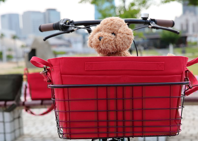 ワイドバッグ (レッド) ＋ 底メッシュパイプワイヤーバスケット