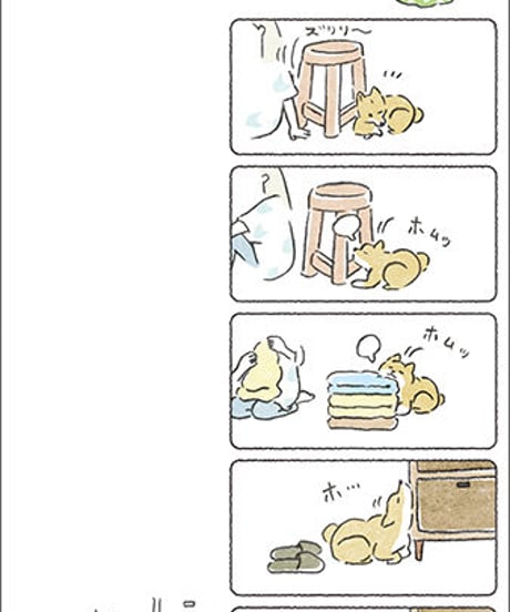 『豆しばこつぶ　はじめまして』キリ