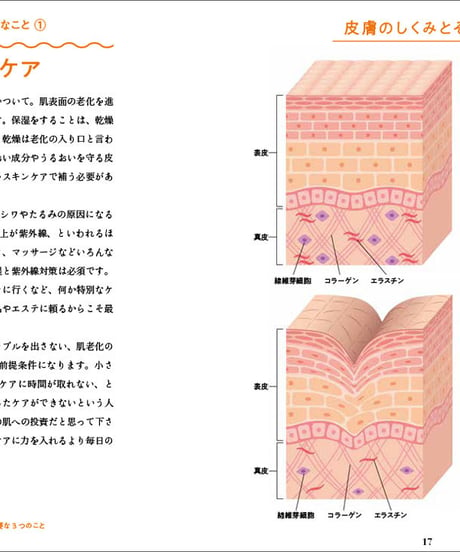 『人生がときめくシワとりパーフェクトブック』永松麻美