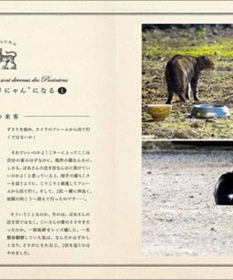 『パリにゃんII』酒巻洋子