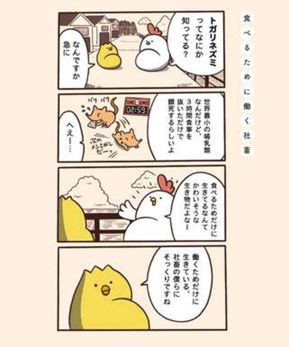5ec7009e72b9110e5f393817
