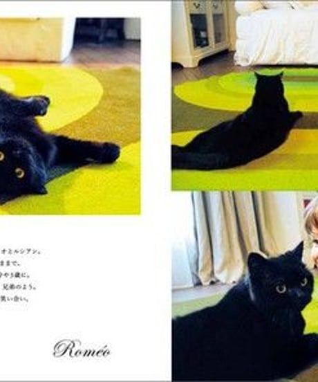 『パリにゃんII』酒巻洋子