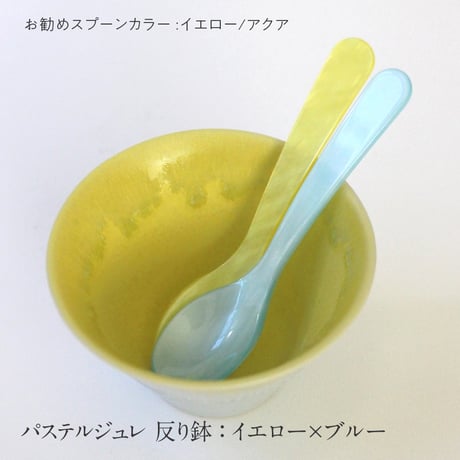 パステルジュレ　反り鉢　5種