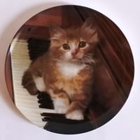 MM023 ヴィンテージキャットプレート（Kitten on the Keys A）