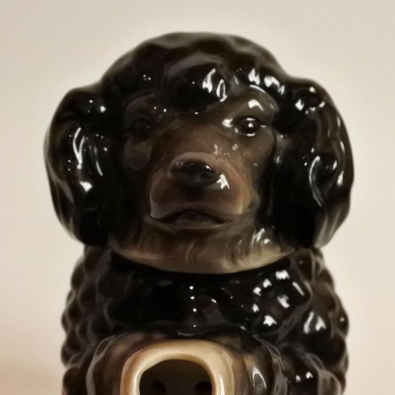 ayhyimam　プードル ayhyimam プードル プロマネージ 成犬用 トイプードル専用 小粒