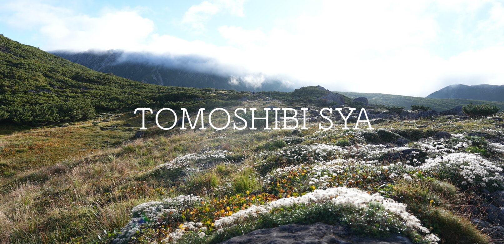 TOMOSHIBI SYA
