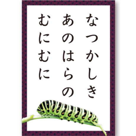 【百人一首風】みんなのこんちゅう和かるた