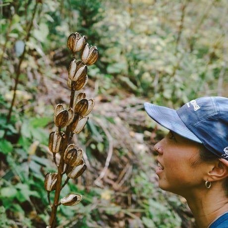 <HIKER TRASH | ハイカートラッシュ> DAYDREAMER ”NYLON JET CAP”