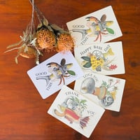 <ALEXANDER LEE CHANG>ALCD&C 5SETS POSTCARDS