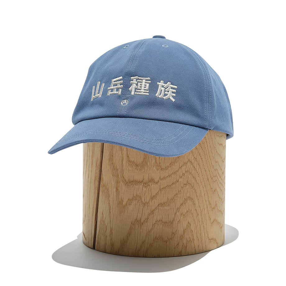 6a06af9af5e1401b00eae9f3
