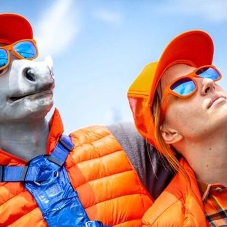 <goodr>【OGs】Donkey Goggles