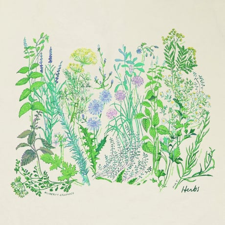 <LIBERTY GRAPHICS> Herbs　NATURAL