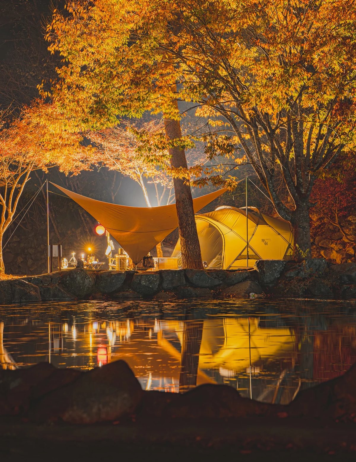 Telo> looksX | UNWASTED | アンウェイステッド