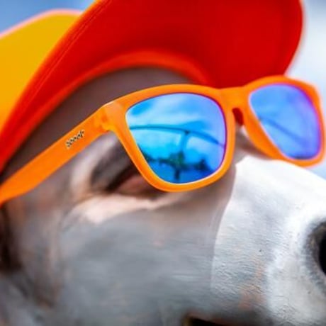 <goodr>【OGs】Donkey Goggles