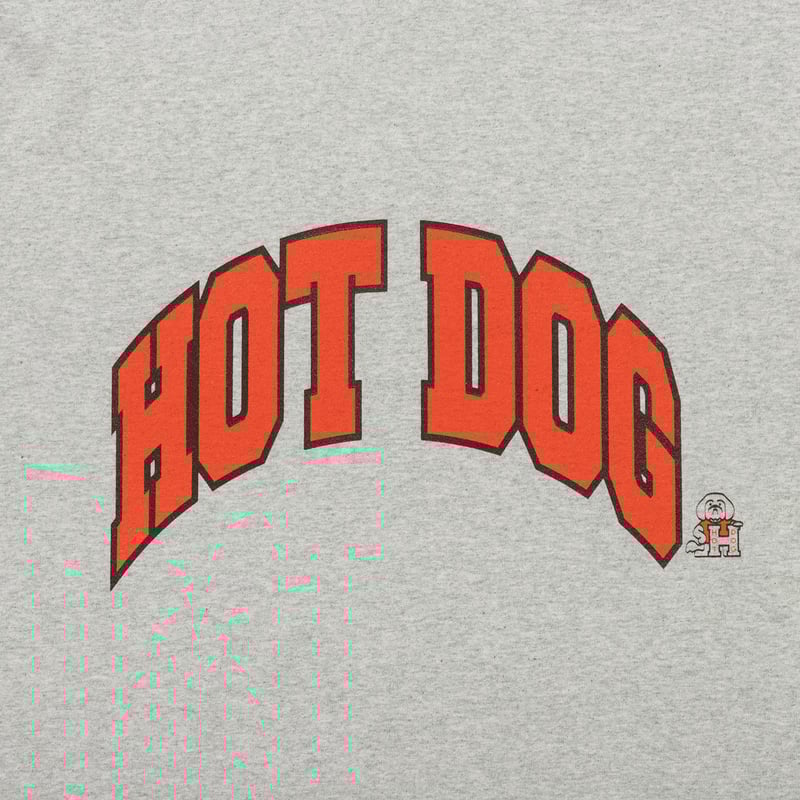 TACOMA FUJI RECORDS HOT DOG Tシャツ XL TACOMA FUJI RECORDS＞ HOT DOG COLLEGE LOGO HEATHER GRAY/Tシャツ