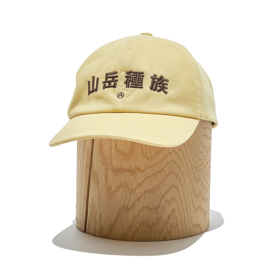 6a06af9af5e1401b00eae9f3