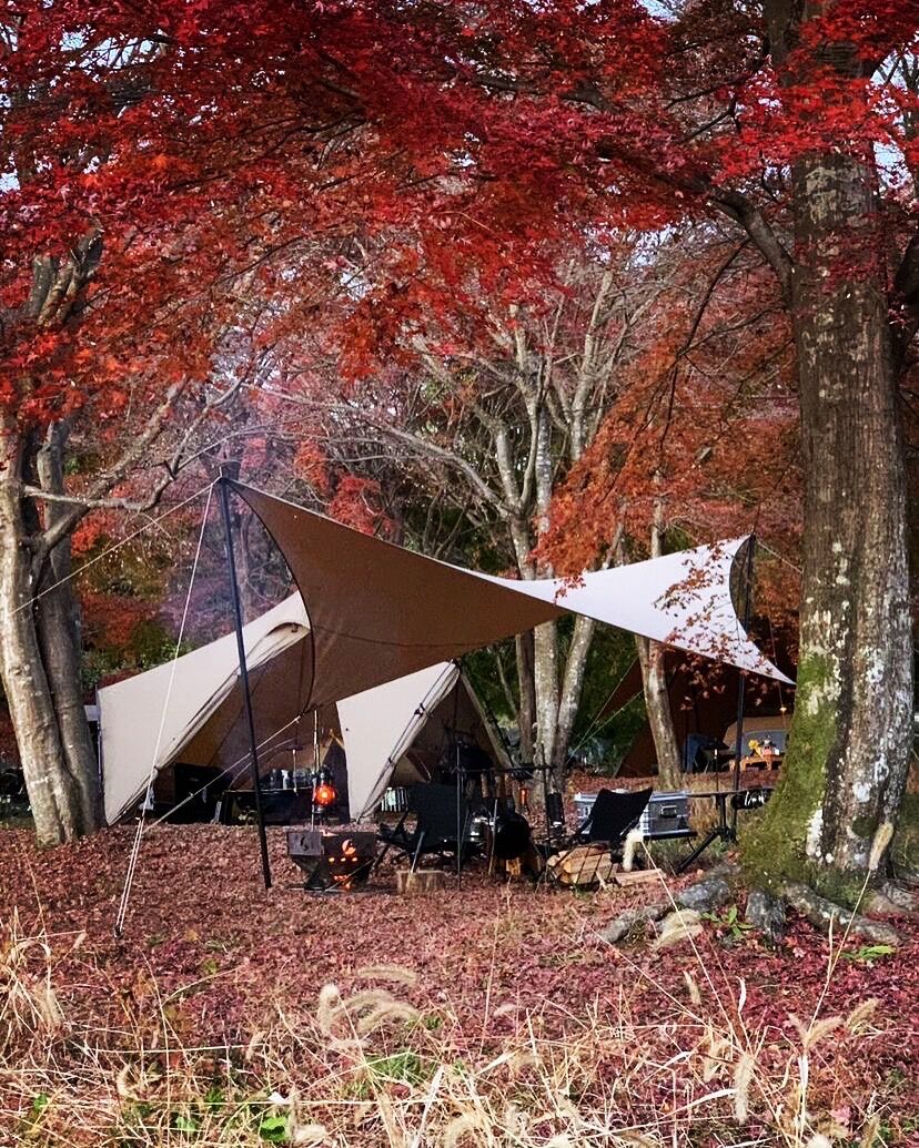 Telo tarp 「looks 」 サンド