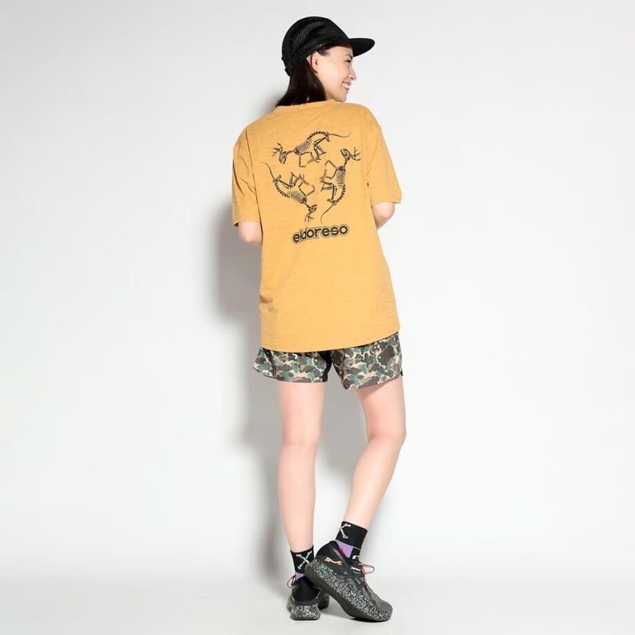 67232797ec1f7a03c80e13ca