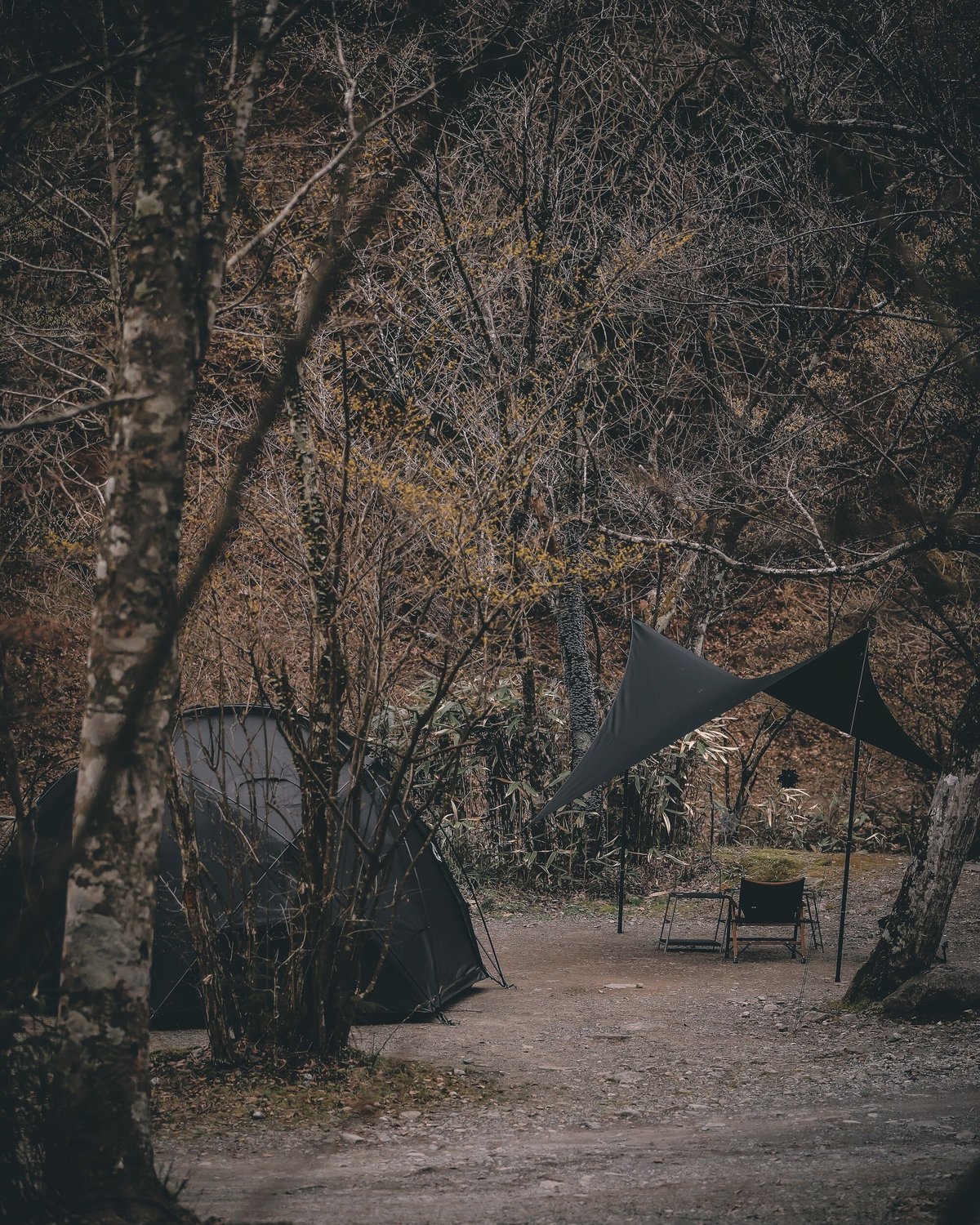 テント・タープ telo unwasted fit=scale-down,w=1200