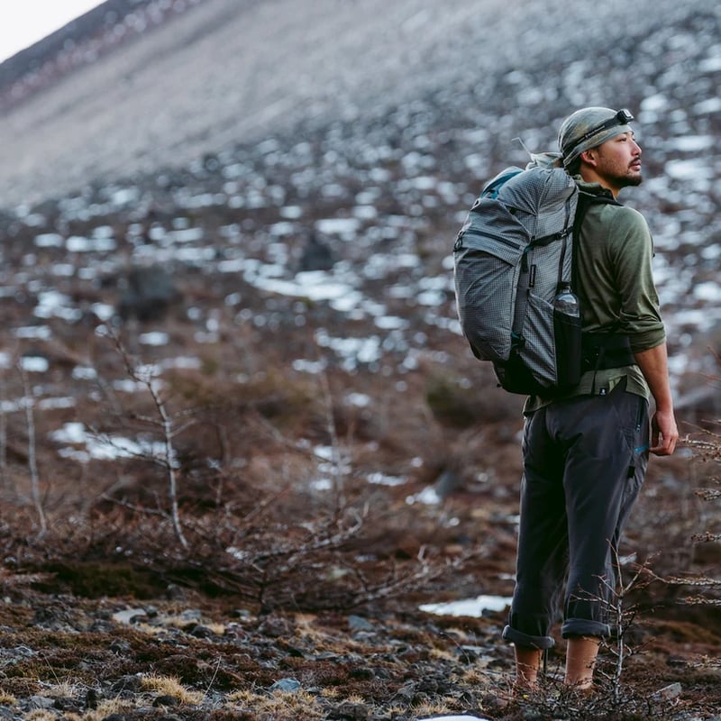 8 希少 Pholidota 穿山甲 センザンコウ 和装 ハンドバッグ 美品◇穿山甲 センザンコウ ハンドバッグ がま口 エキゾチックレザー 和装