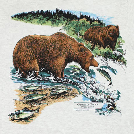 <LIBERTY GRAPHICS> Grizzly Bears　ASH